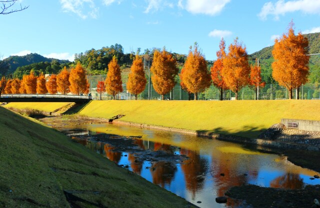 秋の公園