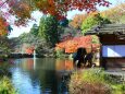 秋の東山動植物園