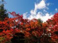 日光の紅葉