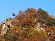 秋の山寺