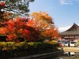 秋の東寺