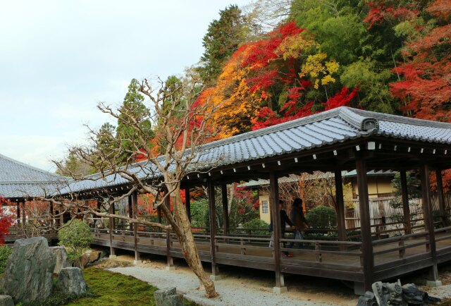 秋の南禅寺