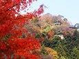 秋の山寺