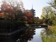 秋の東寺