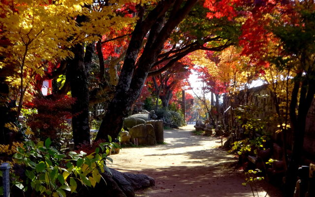 秋の紅葉を訪れて