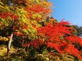 日光の紅葉