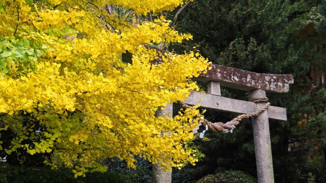 秋の山寺