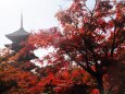 秋の東寺