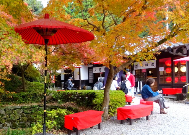 紅葉もお茶も楽しむ