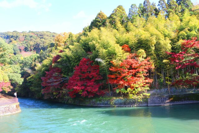 秋の宇治川