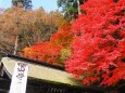 秋の山寺