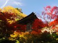 秋の山寺