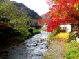 城下町を流れる小川と紅葉