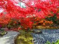 宝厳院12月4日