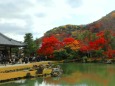 天龍寺12月4日