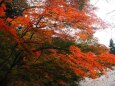 山寺の紅葉