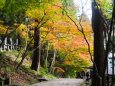 山寺の紅葉