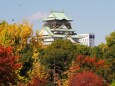 秋の大阪城公園