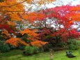 宝厳院12月