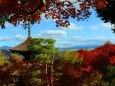 常寂光寺紅葉12月