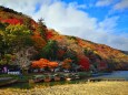 嵐山12月