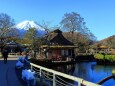 晩秋の忍野八海