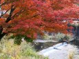 秋の山寺