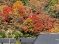 秋の山寺