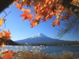 富士山にもみじ