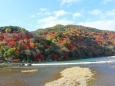 嵐山12月