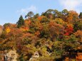 秋の山寺