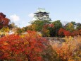 秋の大阪城公園