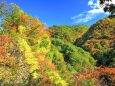 紅葉の山々