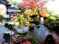 紅葉山寺 西日の小さな池