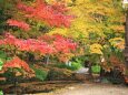 秋の山寺