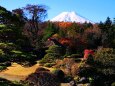 忍野八海紅葉