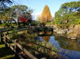 静かな初冬の公園