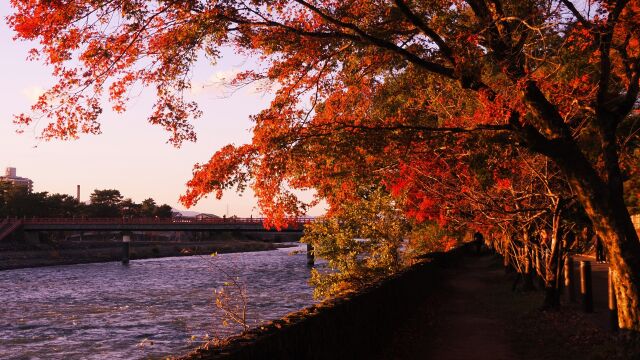 宇治公園の秋の夕景