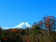 晩秋の忍野八海