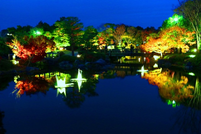 白川庭園イルミネーション