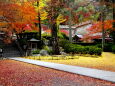 晩秋落ち葉の山寺