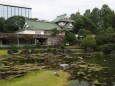 秋の富山城址公園