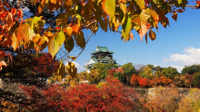 秋の大阪城公園