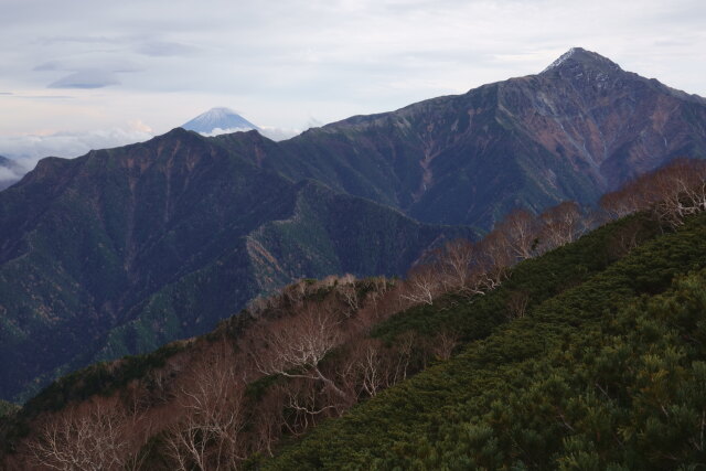 北岳の肩に乗る富士