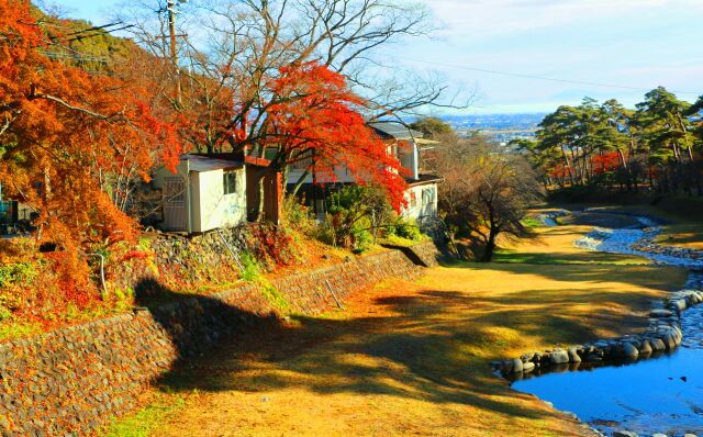 養老公園紅葉