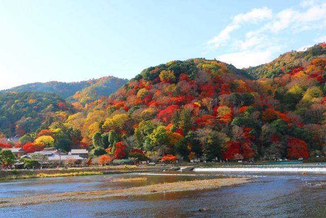 嵐山12月