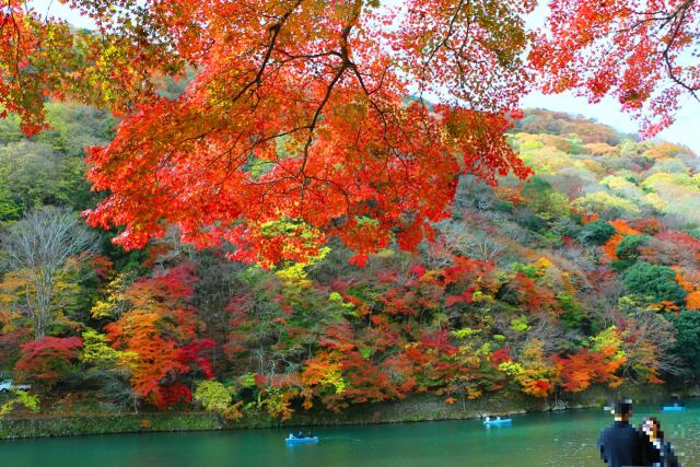 桂川12月