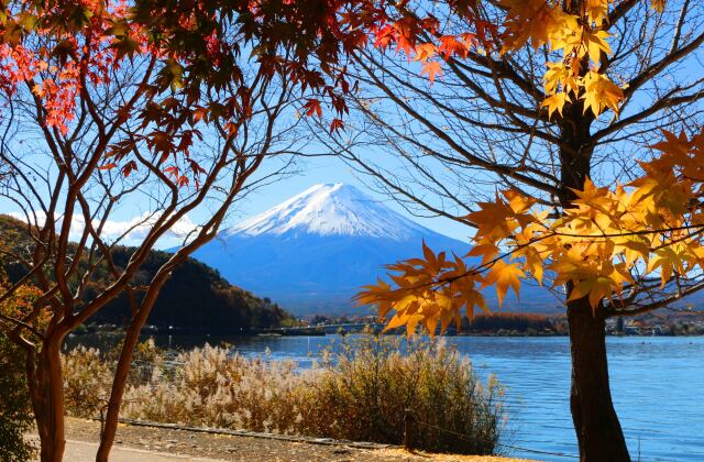 晩秋の河口湖