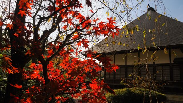 秋の山寺