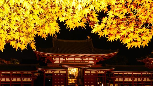 秋の夜の平等院